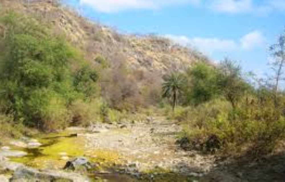 Todgarh Raoli Wildlife Sanctuary